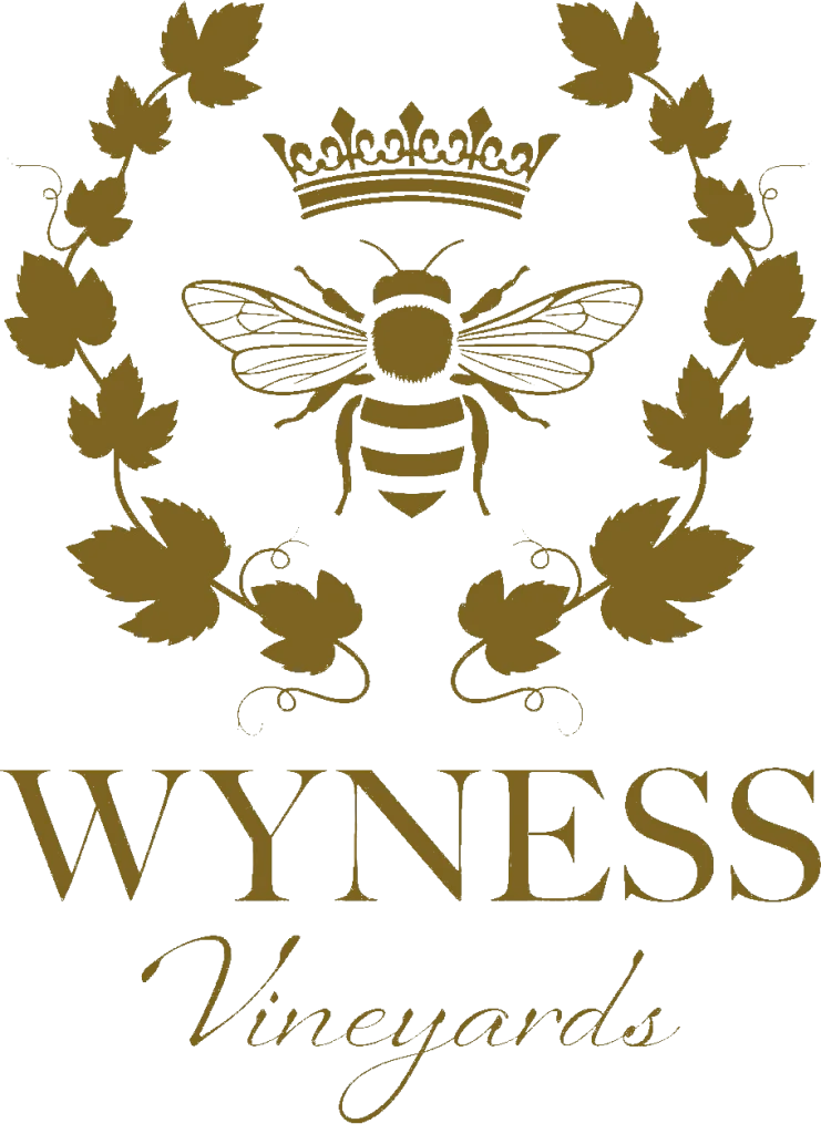 Wyness logo GOLD